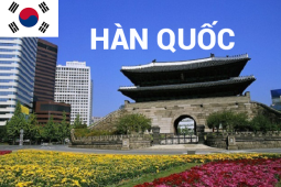 Bán vé máy bay thăm thân, cô dâu định cư Seoul Incheon, Busan ở Hàn Quốc